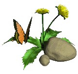 1-yellow-flowers-butterfly