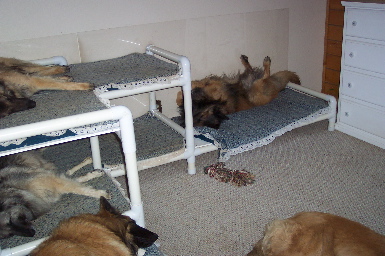 Bedtime2