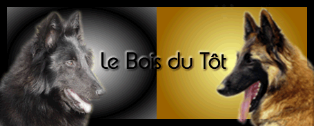 Bois_du_Tot