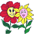 Daisies_in_love