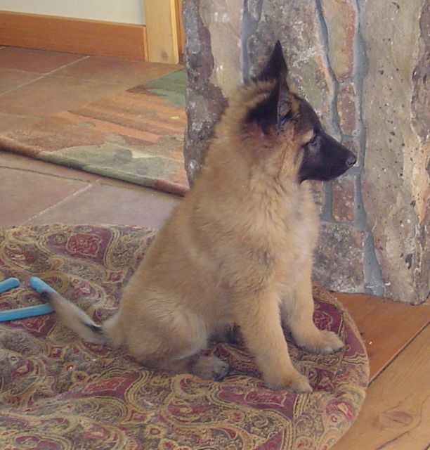 K.Tina4.9wk K.Tina4.9wk