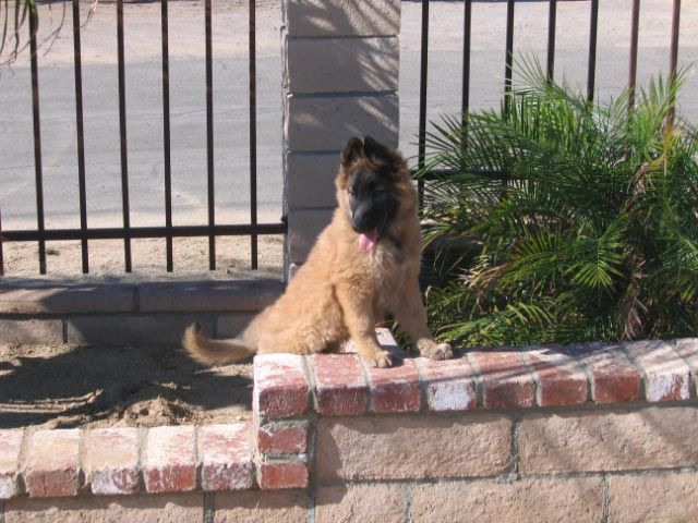 Kissmit11wk.14