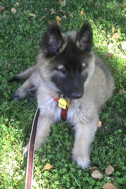 Lance9wk1 Lance9wk1