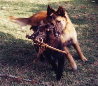 Play.j