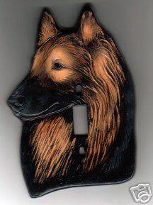 Switchplate