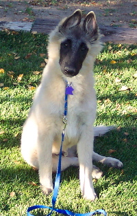 TrainGael18wk