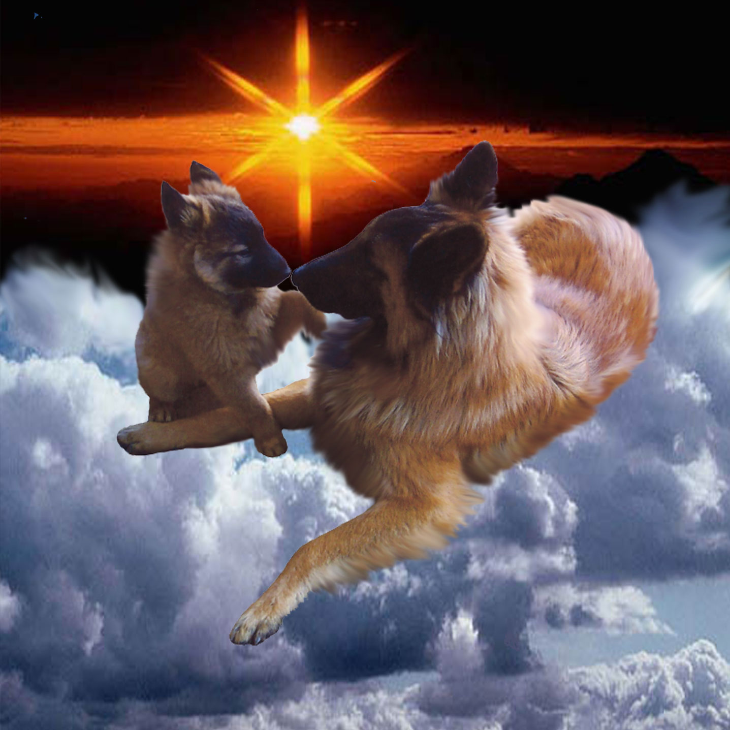 puppypage